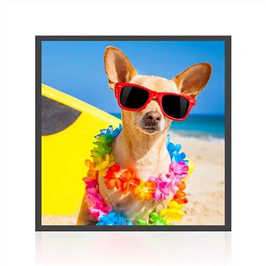 22-palčni kvadratni zaslon LCD IPS Monitor Digital Signage za prikaz fotografij